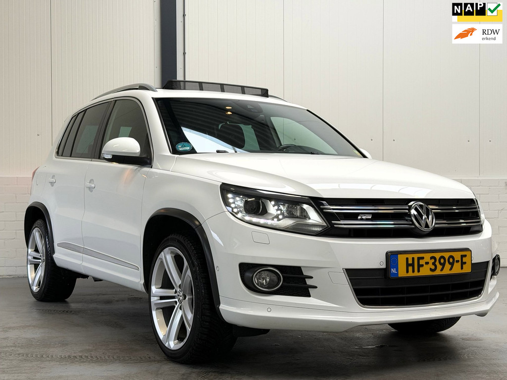 54263836
